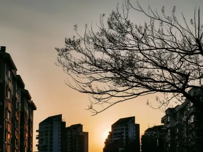 מגה ריל קזינו אפליקציה לנייד